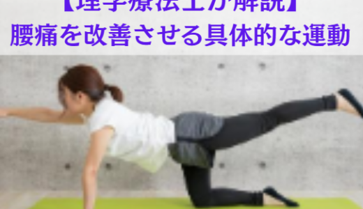 【理学療法士が解説】腰痛に効く運動と姿勢の問題！